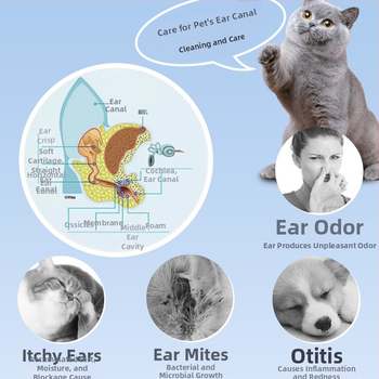 Avatud Yan lemmikloomade kõrvapuhastusvatipulk kõrvalestade puhastamiseks vatitupsuga lemmikloomade vatitupsuga kassidele ja koertele