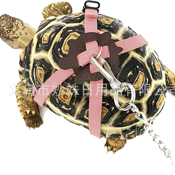 Χελώνα για περπάτημα με σχοινί έλξης για κατοικίδια, ρυθμιζόμενο μέγεθος