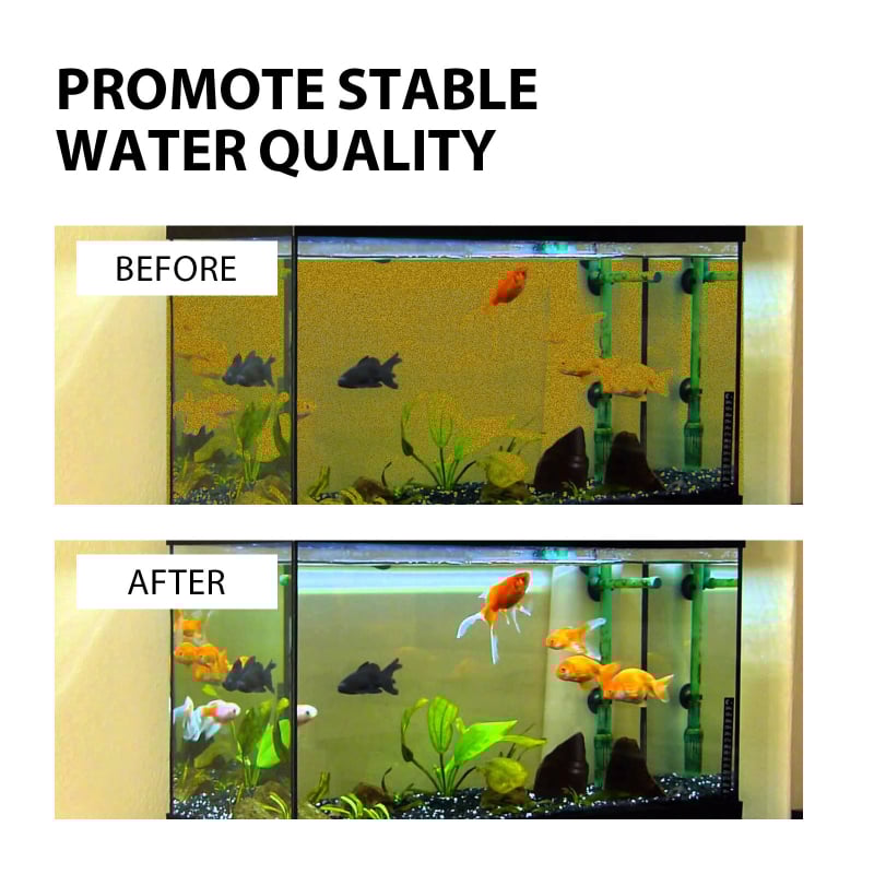 Yegbong žuvų tvenkinys, chloro šalinimas, žuvų tvenkinio valymas, dezaktyvavimas, dezodorantas, dumbliai, vandens kokybės skaidrinimas, vandens valymas, putojančios tabletės