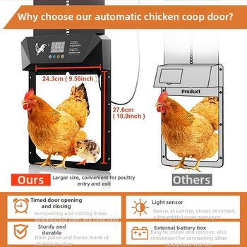 Liela izmēra pārrobežu intelektuālas elektriskās vistu mājas durvis, gaismjutīgas, pret saspiešanu, ūdensizturīgas, sausas baterijas, daudzfunkcionālas dzīvnieku mājputnu durvis