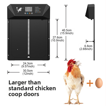 Liela izmēra pārrobežu intelektuālas elektriskās vistu mājas durvis, gaismjutīgas, pret saspiešanu, ūdensizturīgas, sausas baterijas, daudzfunkcionālas dzīvnieku mājputnu durvis