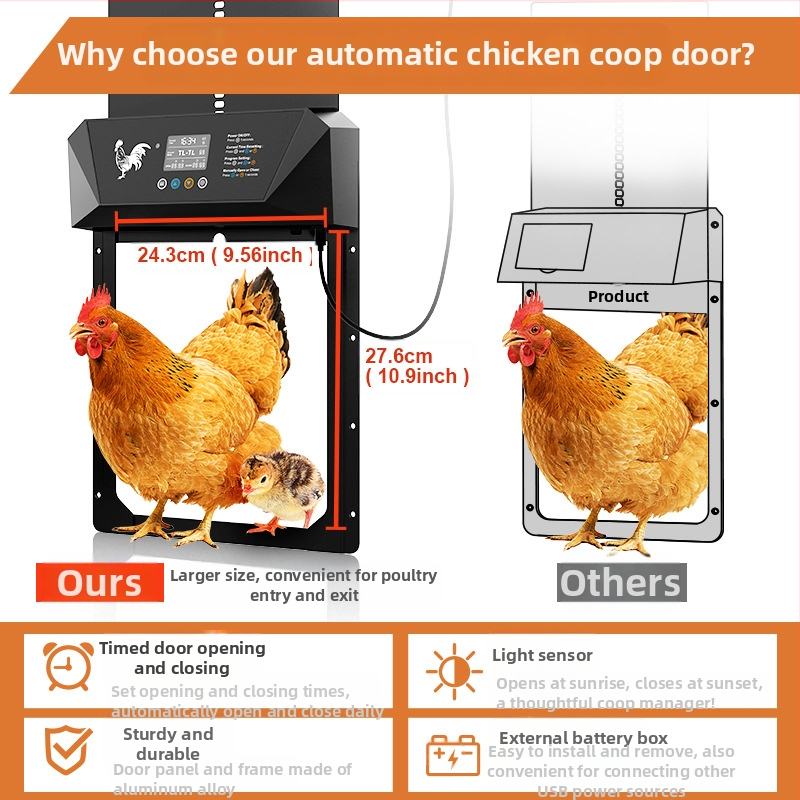 Liela izmēra pārrobežu intelektuālas elektriskās vistu mājas durvis, gaismjutīgas, pret saspiešanu, ūdensizturīgas, sausas baterijas, daudzfunkcionālas dzīvnieku mājputnu durvis