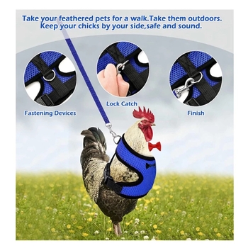 Ζώνη εκπαίδευσης για πουλερικά με σχοινί έλξης για κατοικίδια, σχοινί έλξης για κοτόπουλο, πάπια, χήνα, αναπνεύσιμο σχοινί έλξης για στήθος κοτόπουλου