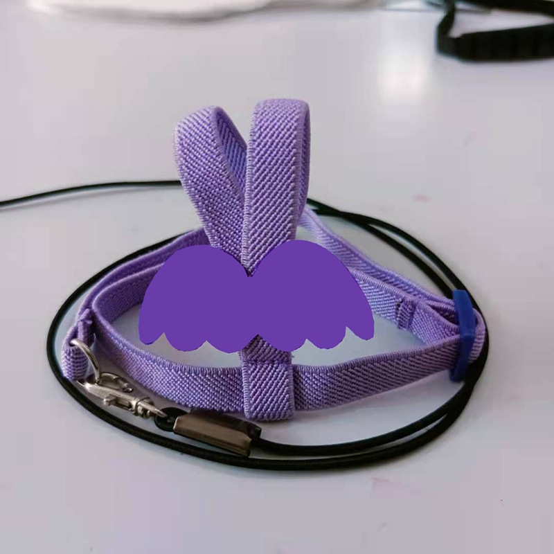 Prekogranično leteće uže za amazonsku papigu, misteriozni remen za vjetar, božur, izvan elastične leteće uže za pticu, igračka za ptice