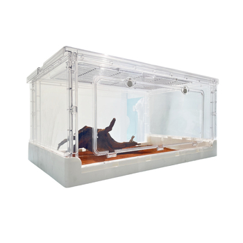 70 sulankstomas narvo žiurkėnų narvas, visiškai skaidrus, auksinis meškiukas, rutinas, vištiena, laipiojimo dėžė augintiniams, šėrimo dėžė, apsauga driežams, rūmų kampas, varlės stiklainis