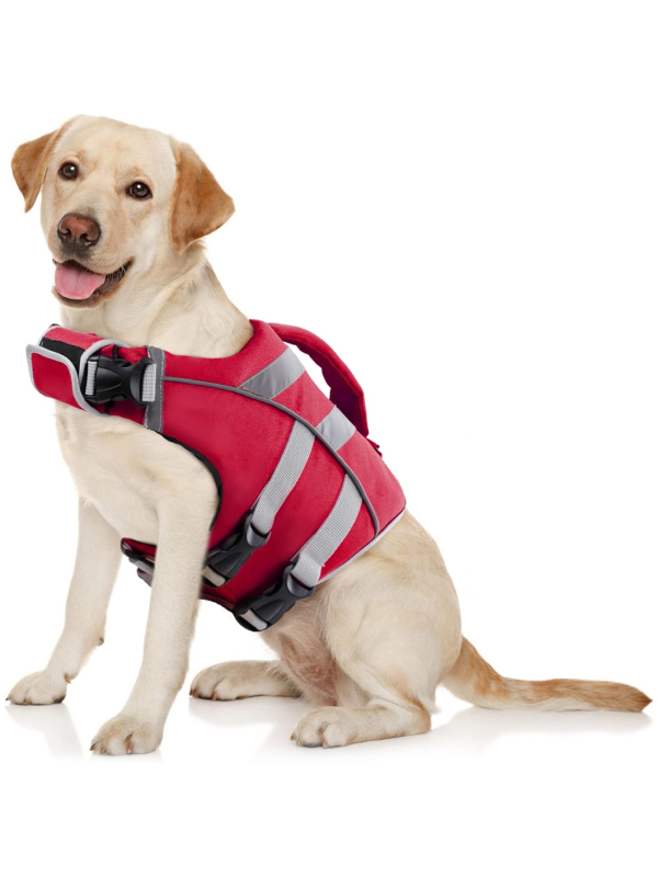 Σωσίβια για σκύλους σε διασυνοριακό επίπεδο Είδη κατοικίδιων Μαγιό για σκύλους Εκπαίδευση σε εξωτερικούς χώρους Σωσίβια για σκύλους μεσαίου και μεγάλου μεγέθους σε πωλήσεις