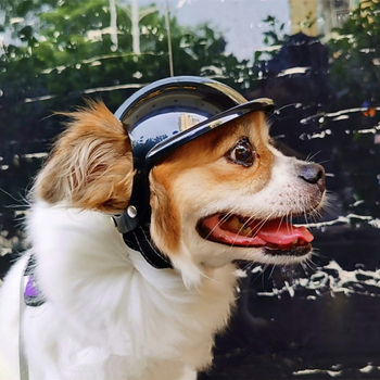 Νέο κράνος κατοικίδιων ζώων με διαρροές αυτιών σκύλου, γάτας, αυτοκινήτου, αντιανεμικά γυαλιά μοτοσικλέτας, μοτοσικλέτας, μεγάλο κράνος σκύλου