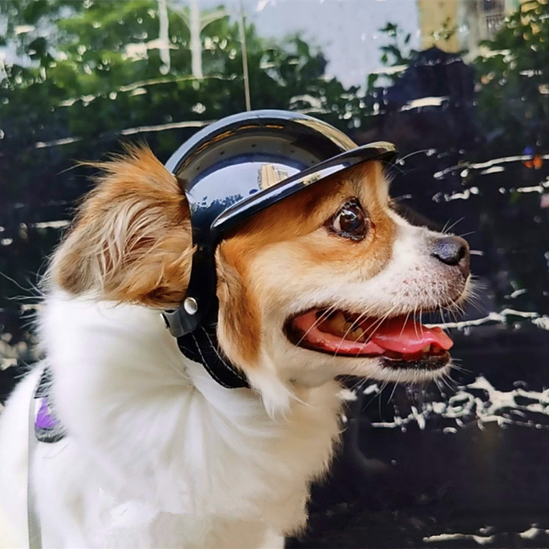 Нова каска за домашни любимци, пропускащи уши, куче, котка, кола, ветроустойчиви очила, мотоциклет, мотоциклет, голяма каска за кучета