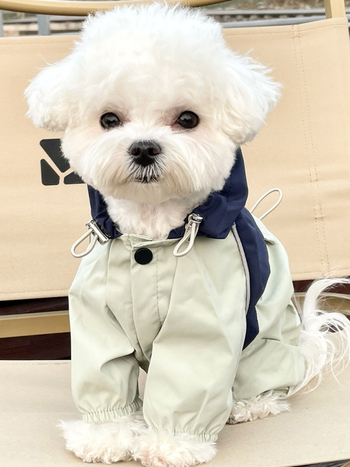 Ρούχα για σκύλους, ρούχα εργασίας, αδιάβροχο, αδιάβροχο, ανθεκτικό στις καιρικές συνθήκες, ανθεκτικό στα κουνούπια, αρκουδάκι, φθινόπωρο και χειμώνα, schanery bomei