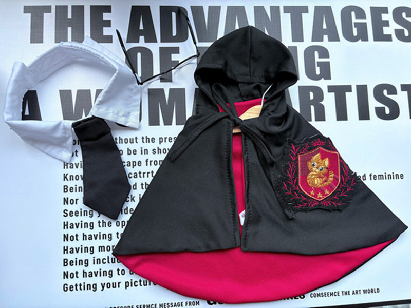 Internet Celebre Mačka Domáci miláčik Pes Harry Potter Magický plášť Vysokoškolský plášť Plášť pre malého psa Halloweenský plášť