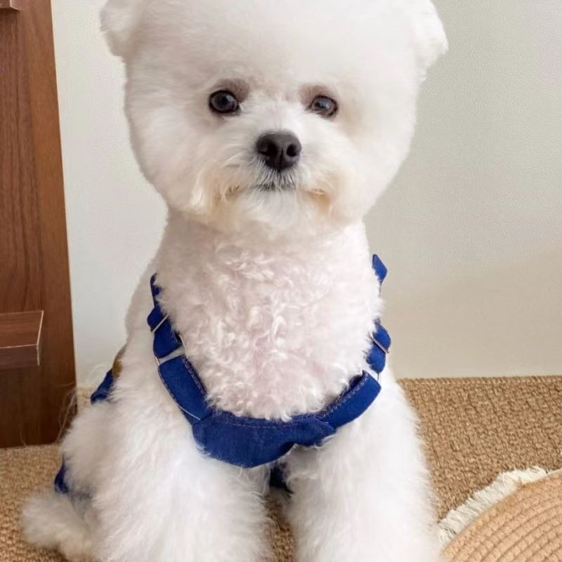 Дрехи за домашни любимци, кучешки дрехи, презрамки, дънкови панталони, изпрани, устойчиви на износване, истински деним, плюшени мечета Шнери