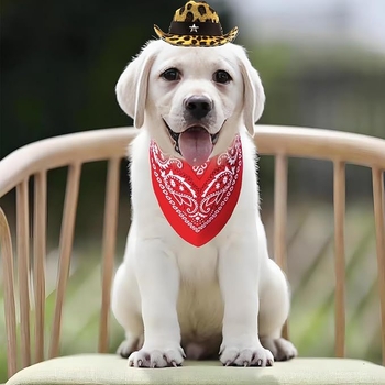 Леопардов принт за домашен любимец, каубойска шапка с кърпа за слюнка, костюм с престилка, котка, куче, дънкова шапка, червен шал