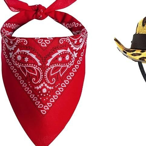 Леопардов принт за домашен любимец, каубойска шапка с кърпа за слюнка, костюм с престилка, котка, куче, дънкова шапка, червен шал