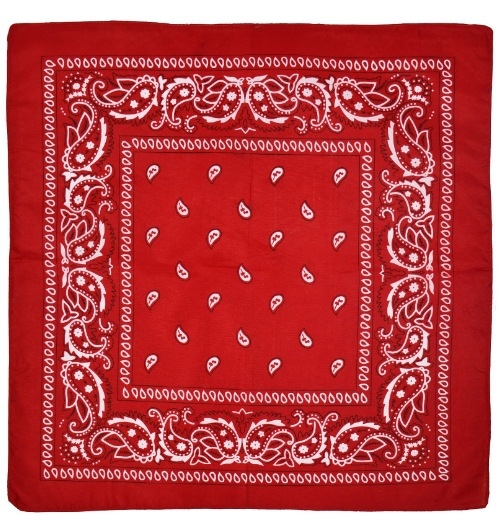 Леопардов принт за домашен любимец, каубойска шапка с кърпа за слюнка, костюм с престилка, котка, куче, дънкова шапка, червен шал