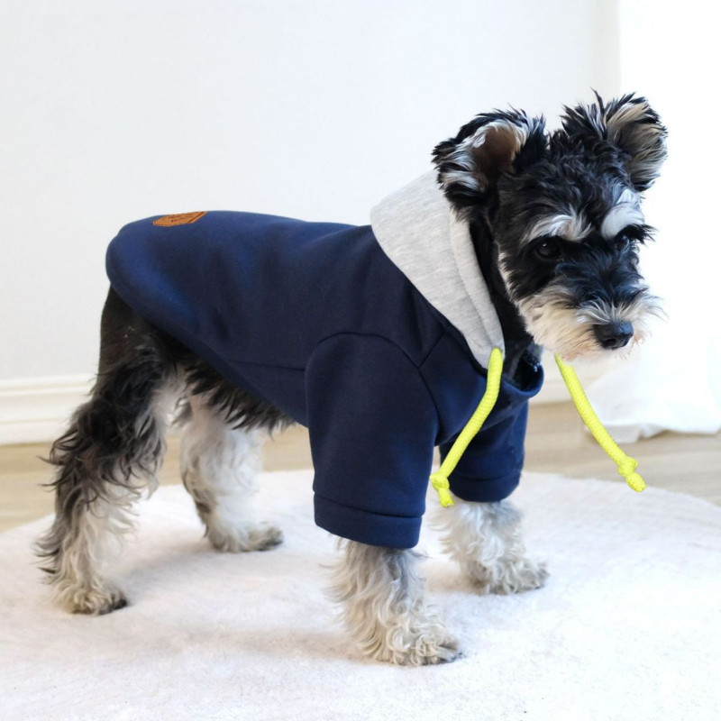 Нови есенни и зимни дрехи за домашни любимци, обикновен пуловер с качулка, контрастен цвят, суичър за кучета и домашни любимци