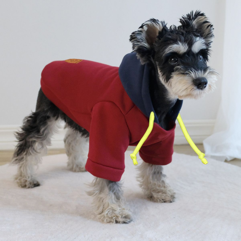 Нови есенни и зимни дрехи за домашни любимци, обикновен пуловер с качулка, контрастен цвят, суичър за кучета и домашни любимци