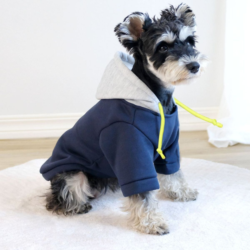 Нови есенни и зимни дрехи за домашни любимци, обикновен пуловер с качулка, контрастен цвят, суичър за кучета и домашни любимци