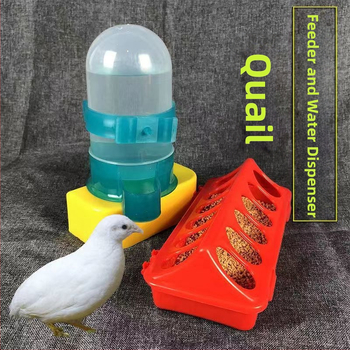 Rutino viščiukų lovio automatinis girdykla viščiukų lovis viščiukų putpelių automatinis girdykla