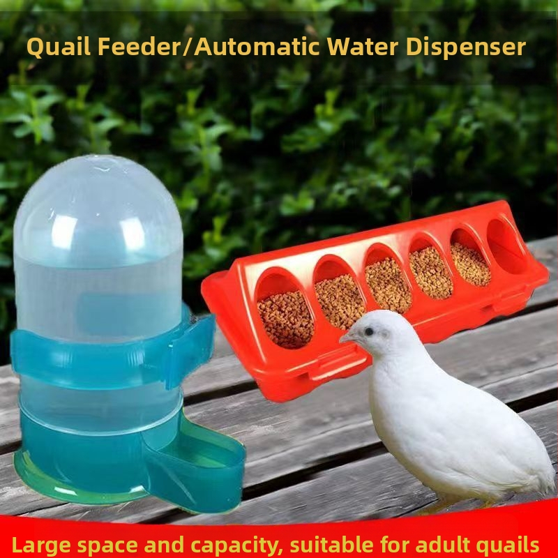 Rutīna vistas siles automātiskā dzirdinātava cāļu siles cāļu paipalu automātiskā dzirdinātava