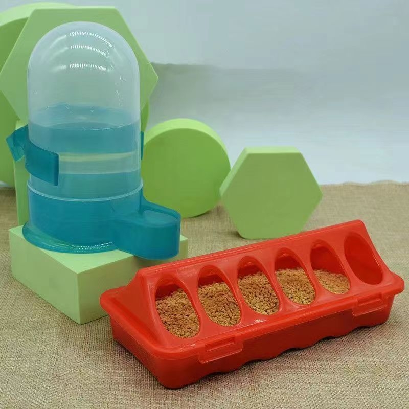 Rutino viščiukų lovio automatinis girdykla viščiukų lovis viščiukų putpelių automatinis girdykla