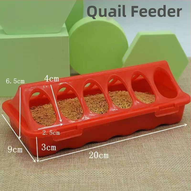 Rutino viščiukų lovio automatinis girdykla viščiukų lovis viščiukų putpelių automatinis girdykla