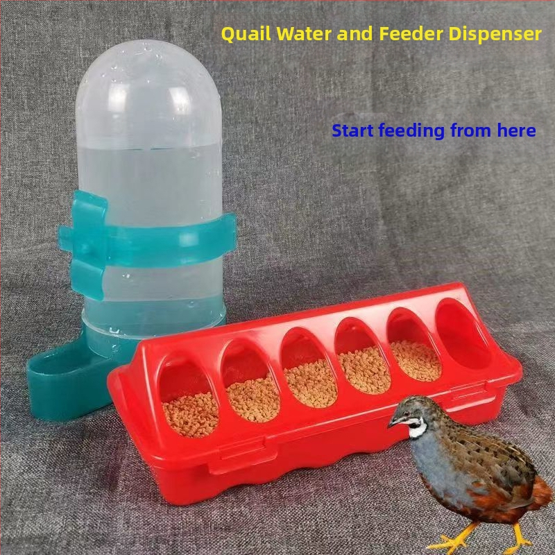 Rutino viščiukų lovio automatinis girdykla viščiukų lovis viščiukų putpelių automatinis girdykla