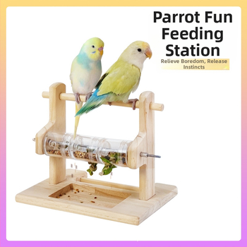Stanica za hranjenje papiga od punog drva, stalak za brušenje kandži, brušenje kljuna, otporan na ugriz, štap za stanicu, akrilna prozirna kutija za hranu, zabavna igračka za papige