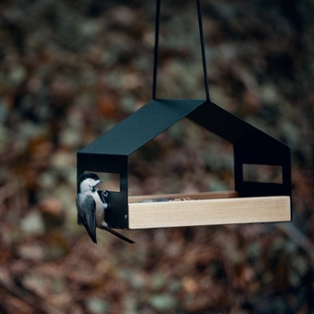 Трансгранична независима станция CLIPARTO Ръчна хранилка за птици