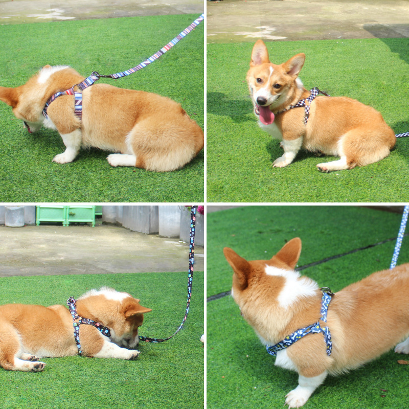 Трансграничен Amazon нов гръден колан за домашни любимци кучета с теглително въже на едро за домашни любимци кучешки гръден колан за кучета