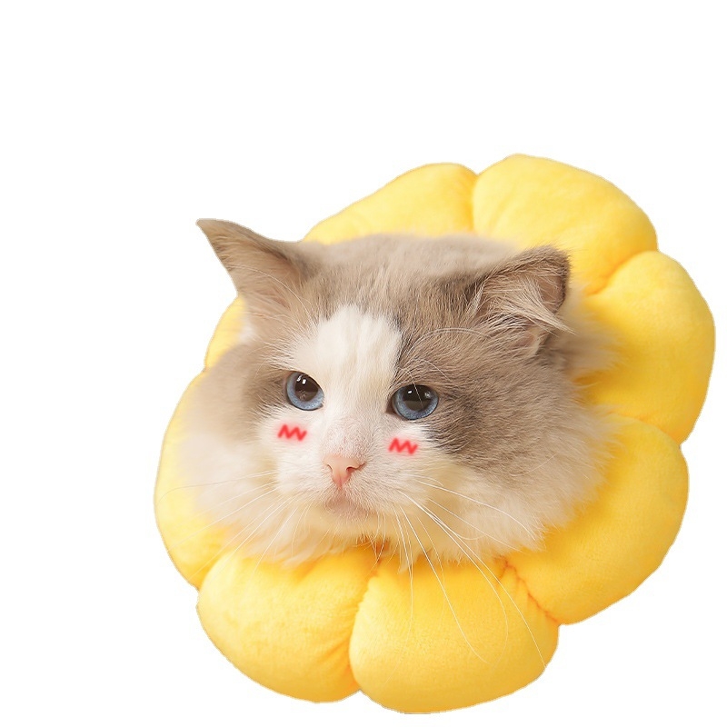 Нашийник за домашни любимци Sunflower Elizabeth Нашийник за котки Elizabeth Нашийник за кучета Стерилизиран нашийник против облизване