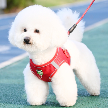 Жилетка за кучешка каишка, светлоотразителна каишка за гърди с плюшено мече Bimi, верига за разходка с куче