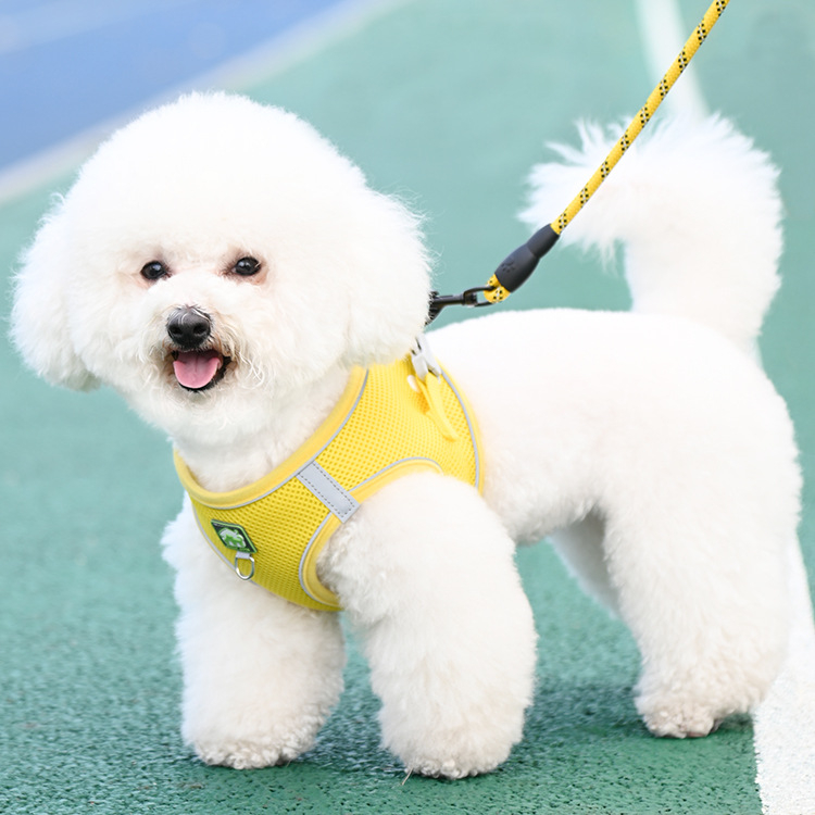 Жилетка за кучешка каишка, светлоотразителна каишка за гърди с плюшено мече Bimi, верига за разходка с куче