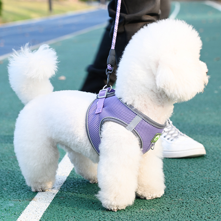 Жилетка за кучешка каишка, светлоотразителна каишка за гърди с плюшено мече Bimi, верига за разходка с куче