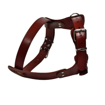 Σκύλος/Κατοικίδιο σκύλου, ζώνη πρώτης στρώσης από δέρμα αγελάδας, προστατευτική ζώνη εργασίας με έλξη, στήθος και πλάτη από δέρμα αγελάδας για σκύλους