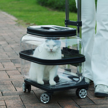 Θήκη καροτσιού κατοικίδιων XZ Διπλή στρώση Δύο τσάντες για γάτες, φορητές, διαφανείς, κάψουλες για καροτσάκια σκύλων, μεγάλης χωρητικότητας, πολλαπλών γατών