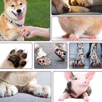 Βερνίκι νυχιών σκύλου, γάτας, μαλακό κεφάλι ακρυλικού μαρκαδόρου, χρώμα γκράφιτι, DYI, βαμμένο στυλό νυχιών για κατοικίδια