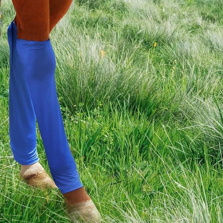 Prekogranične vruće čarape za konje, navlake za konje, štitnici za noge, navlake protiv komaraca i insekata, remeni za konje, čarape za konje, udobne jahačke potrepštine