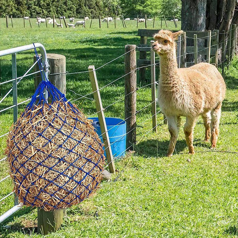 Necunoscut