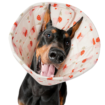 Нашийник за домашни любимци Elizabeth Нашийник за котки и кучета Шапка за кучета против облизване и хапане Elizabeth Нашийник за домашни любимци в британски стил