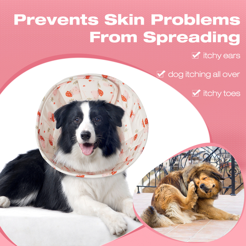 Нашийник за домашни любимци Elizabeth Нашийник за котки и кучета Шапка за кучета против облизване и хапане Elizabeth Нашийник за домашни любимци в британски стил