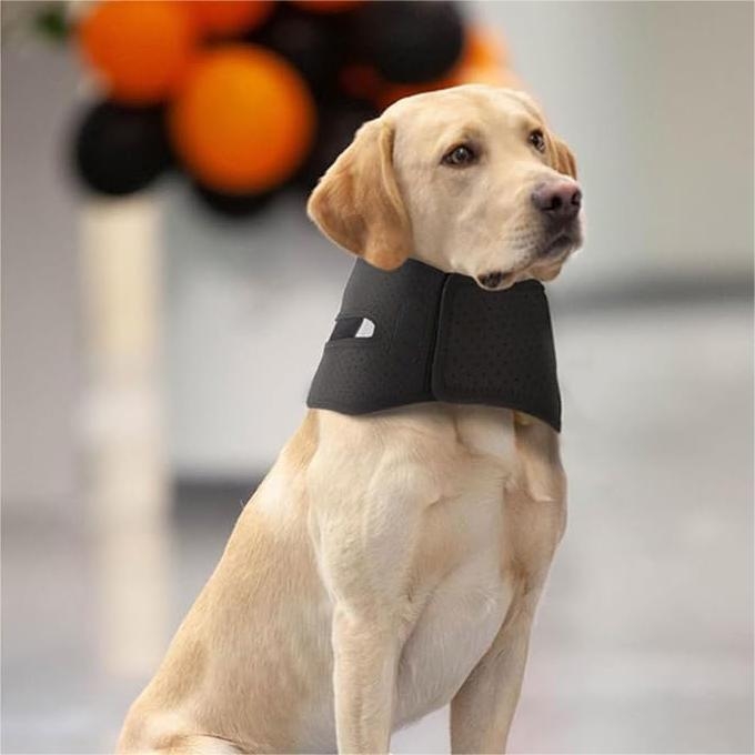 Novi prsten za vrat kućnih ljubimaca, zaštita za vrat psa s potpornim nosačem za vrat, zaštita od uganuća, postoperativna stabilnost vrata