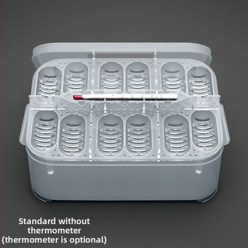 Ερπετό Γκέκο Σαύρα Χελώνα Κατοικίδιο Φίδι Ημιυδρόβια Χελώνα Δίσκος Αυγών 12 Αυγών Εκκολαπτήριο Κουτιού Παράδοσης Εκκολαπτήριο Αυγών Ερπετών