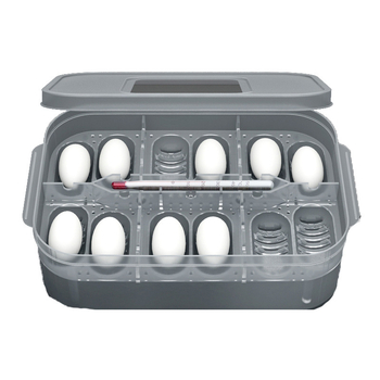 Ερπετό Γκέκο Σαύρα Χελώνα Κατοικίδιο Φίδι Ημιυδρόβια Χελώνα Δίσκος Αυγών 12 Αυγών Εκκολαπτήριο Κουτιού Παράδοσης Εκκολαπτήριο Αυγών Ερπετών