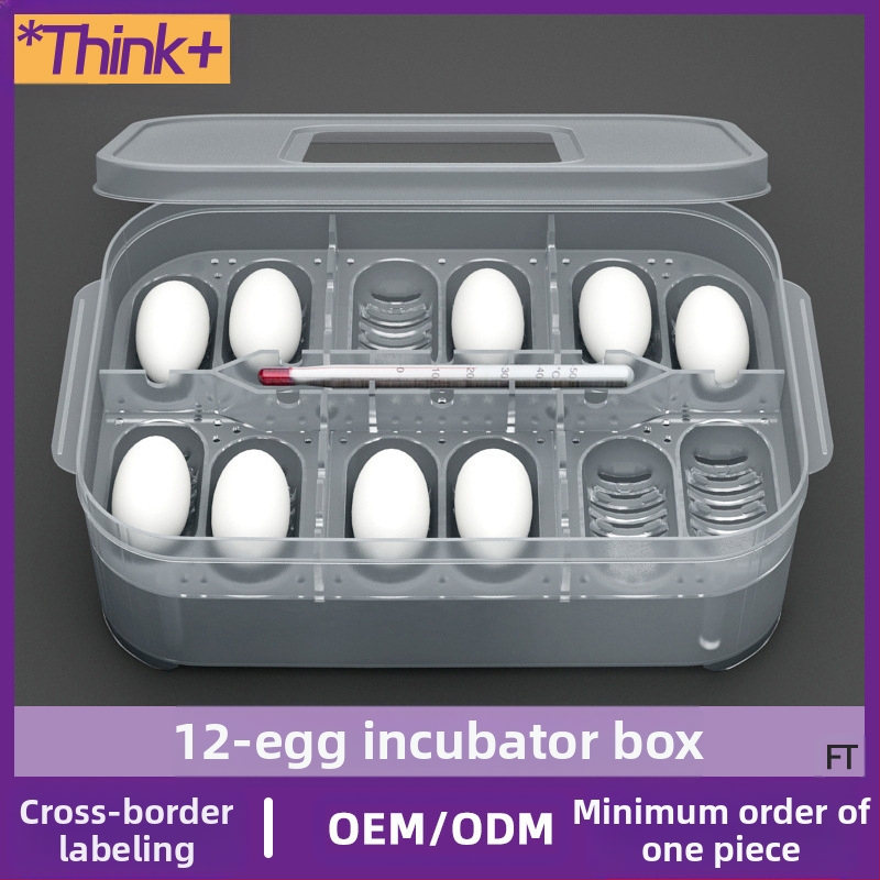 Ερπετό Γκέκο Σαύρα Χελώνα Κατοικίδιο Φίδι Ημιυδρόβια Χελώνα Δίσκος Αυγών 12 Αυγών Εκκολαπτήριο Κουτιού Παράδοσης Εκκολαπτήριο Αυγών Ερπετών