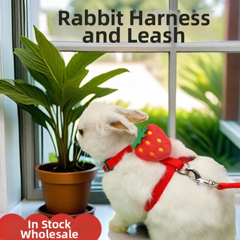 Jänese veojõuköis armas I-kujuline kassjänese rinnal seljal lemmiklooma veojõuköis välja kõndiv jäneseköis laos hulgimüügis