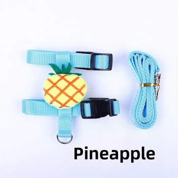 Jänese veojõuköis armas I-kujuline kassjänese rinnal seljal lemmiklooma veojõuköis välja kõndiv jäneseköis laos hulgimüügis