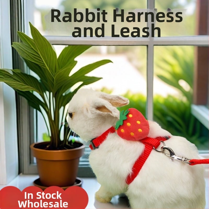 Jänese veojõuköis armas I-kujuline kassjänese rinnal seljal lemmiklooma veojõuköis välja kõndiv jäneseköis laos hulgimüügis