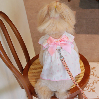 Ρομαντικό, χαριτωμένο φόρεμα με τιράντες και βολάν, φιλικό προς το δέρμα, κατάλληλο για μικρά και μεσαία κατοικίδια