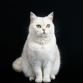 Κολιέ με μαργαριτάρια για κατοικίδια Malzis Devon Cat Noble με διπλή στρώση και μαργαριτάρια, αξεσουάρ