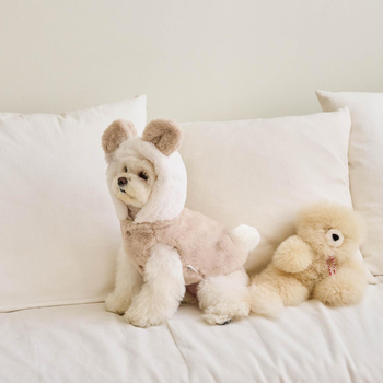 Φθινόπωρο και Χειμώνας Νέο Σκύλος Γάτα Ζεστό Παλτό Φόρεμα Μεταμόρφωσης Αρκούδας Τραγική Πικρή Αρκούδα Αρκουδάκι Ρούχα για Κατοικίδια